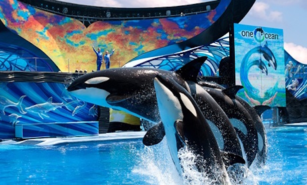 Killer whales at theme park