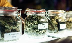 Marijuana Investments Demand Clear Headed Analysis