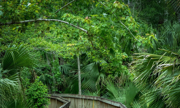 Wekiva Springs State Park - Altamonte Springs, FL