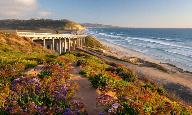 Torrey Pines State Beach