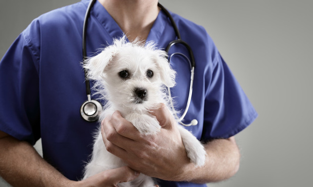 Veterinary Care Real Estate Gets Its Own REIT