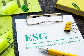 Making Sense of ESG Reporting Frameworks and Standards